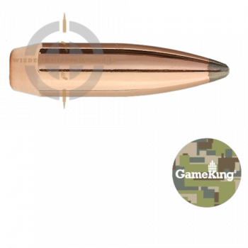 Sierra GameKing 1905 Geschoss